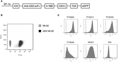 Anti-tumor efficacy of anti-GD2 CAR NK-92 cells in diffuse intrinsic pontine gliomas
